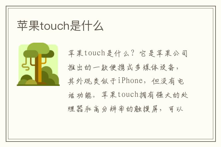 苹果touch是什么