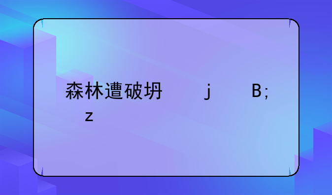 森林遭破坏的后果