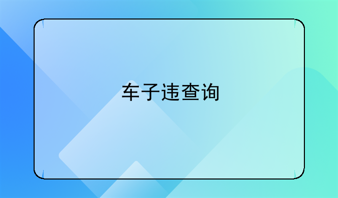 车子违查询