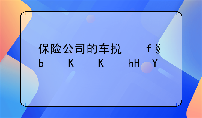 保险公司的车损险是什么意思