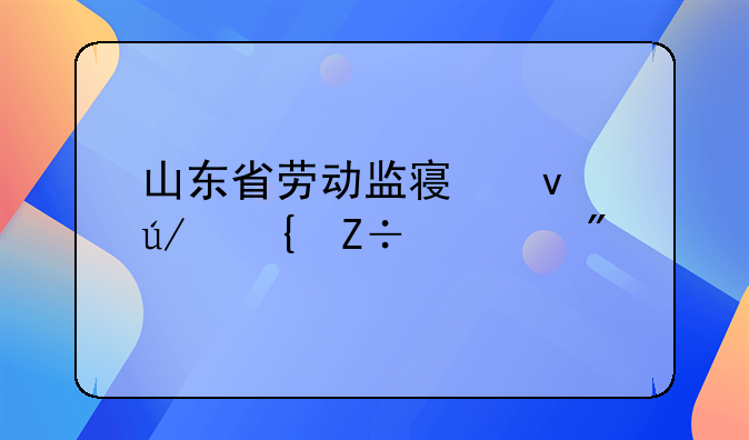 山东省劳动监察条例实施细则