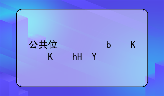 公共住宅是什么意思