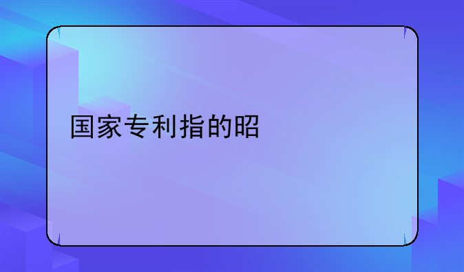 国家专利指的是什么