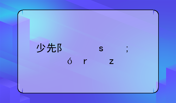 少先队作风领导机构