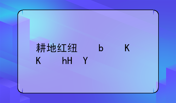 耕地红线是什么意思