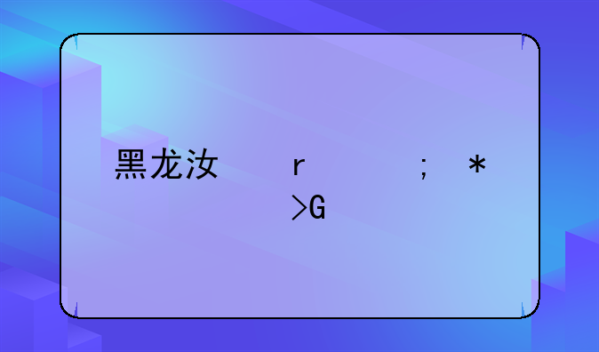 黑龙江省税务局发票