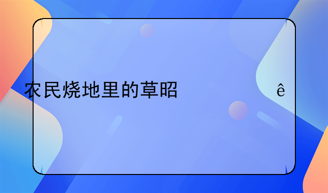 农民烧地里的草是为了什么