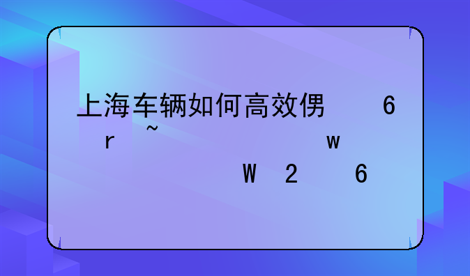 上海车辆如何高效便捷地查询违章记录指南