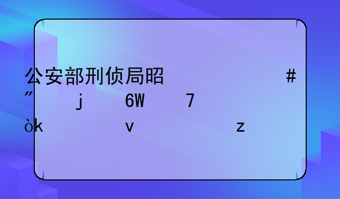 公安部刑侦局是什么级别的单位：全面解析