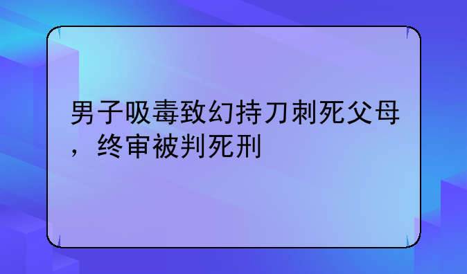 男子吸毒致幻持刀刺死父母，终审被判死刑