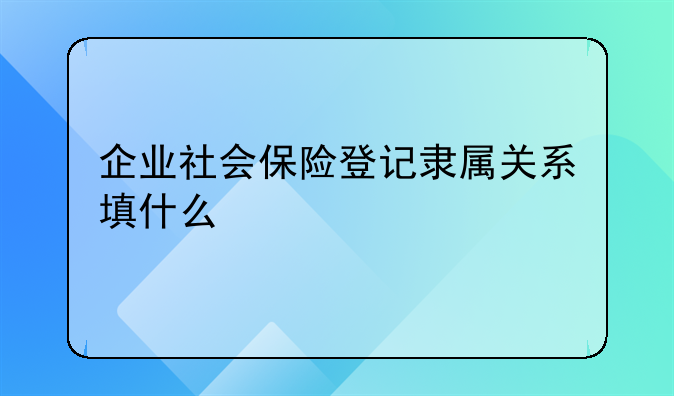 企业社会保险登记隶属关系填什么