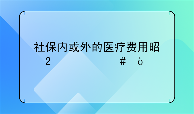 社保内或外的医疗费用是指什么？