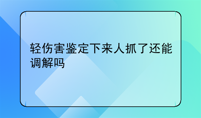 轻伤害鉴定下来人抓了还能调解吗