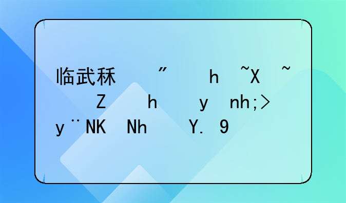 临武租房指南：寻找理想的两房一厅