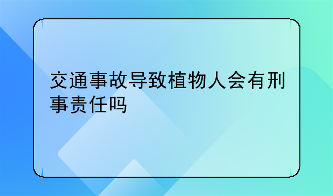 交通事故导致植物人会有刑事责任吗