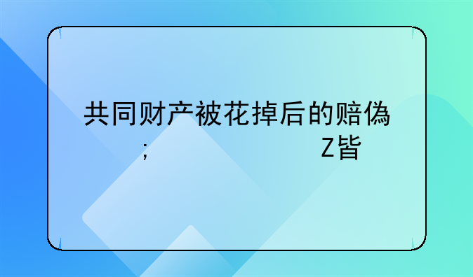 共同财产被花掉后的赔偿与解决方案