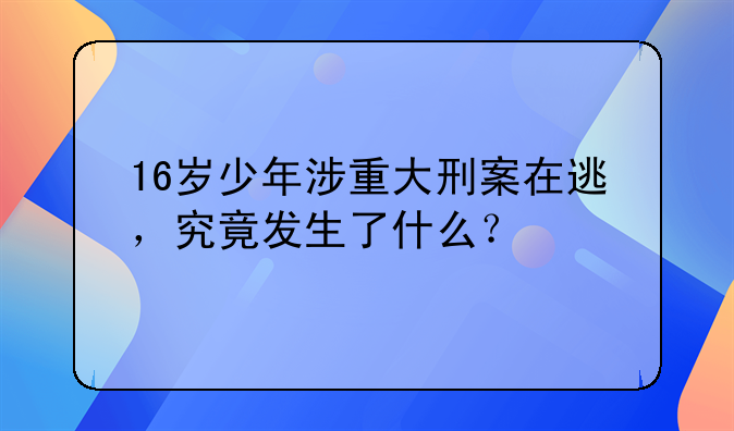 16岁少年涉重大刑案在逃，究竟发生了什么？