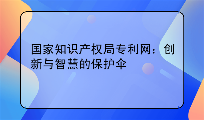 国家知识产权局专利网：创新与智慧的保护伞