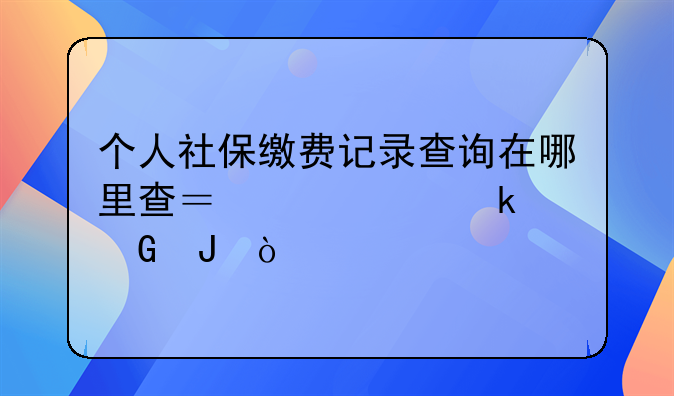 个人社保缴费记录查询在哪里查？要交多少钱？
