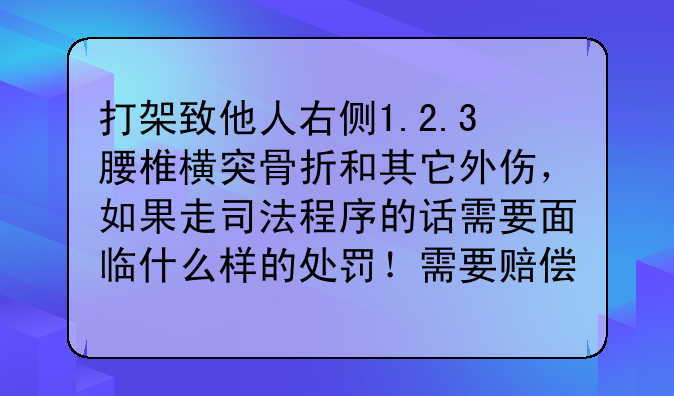 打架致他人右侧1.2.3腰椎横突骨折和其它外伤，如果走司法程序的话需要面临什么样的处罚！需要赔偿多