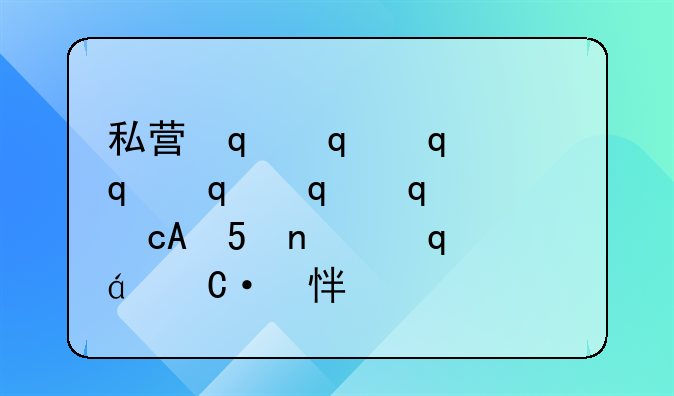 私营企业和民营企业是什么意思