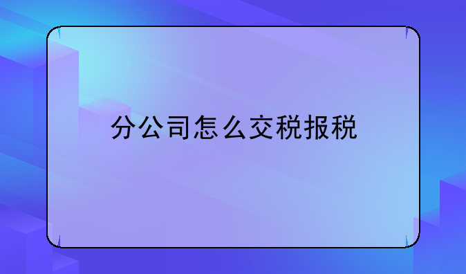 分公司怎么交税报税